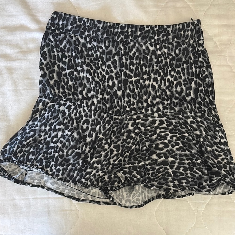 Zara Leopard Print Skirt